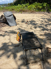 Folding BBQ